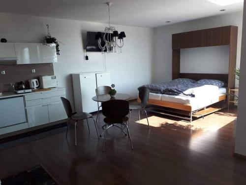 1 dormitorio con 1 cama, mesa y sillas en Bungalov s najkrajším výhľadom, en Spišský Hrhov