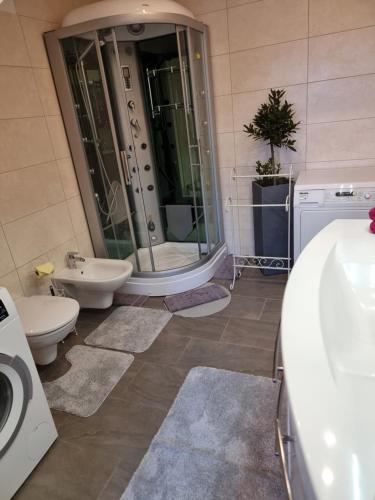 a bathroom with a shower and two toilets and a sink at Ferienhaus Burgblick in Treffen