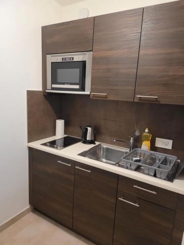 a kitchen with a sink and a microwave at Studio meublé in Geneva
