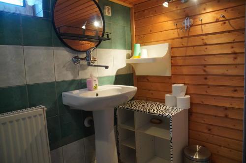 a bathroom with a sink and a mirror at Penzion Veronika in Štrba