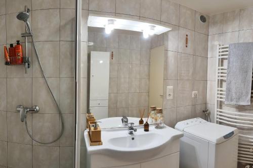 Kúpeľňa v ubytovaní Appartement avec une belle vue sur Palalda