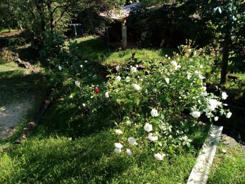 Taman di luar Gîte de la Clède