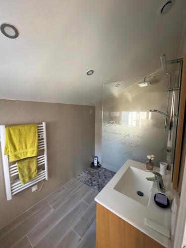 W łazience znajduje się umywalka i lustro. w obiekcie Maison cosy avec jardin calme w mieście Savigny-sur-Orge