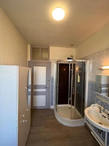 une salle de bain avec douche et lavabo dans l'établissement L’appartement du Cher, à Chabris