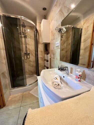 a bathroom with a sink and a shower and a mirror at Apartament u Doroty in Sanok