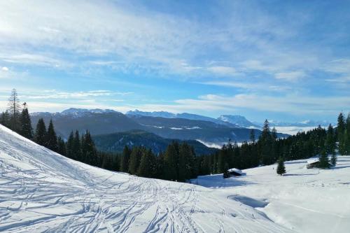a snow covered slope with trees and mountains in the background at Chalet am Wetterkreuz in Reit im Winkl