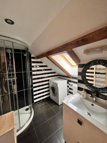 La salle de bains est pourvue d'une douche, d'un lavabo et d'un four micro-ondes. dans l'établissement Le duplex du journaliste, à Besançon