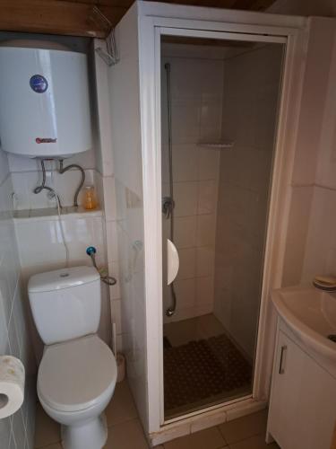 a small bathroom with a toilet and a shower at Nadmorska Pieredyszka in Junoszyno