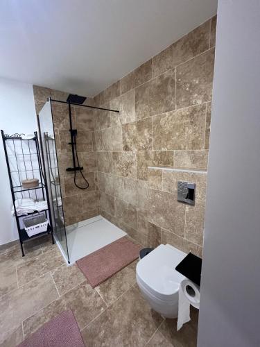 une salle de bain avec toilettes et douche dans l'établissement Charmant appartement avec vue sur les vignes, à Lussac
