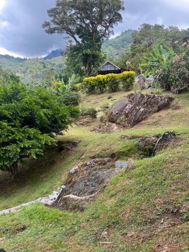 a grassy hill with a house in the background at Rinconcito de Paz, Cedral, Pérez Zeledón in Cedral