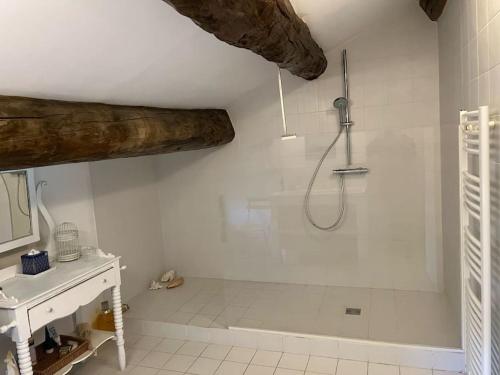 Vonios kambarys apgyvendinimo įstaigoje Spacieux Mas Provençale