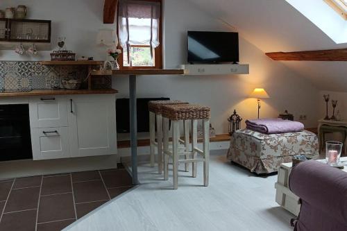 ein Wohnzimmer mit einer Küche mit einem Bett und einem TV in der Unterkunft Loft atypique de charme, garage privatif in Barr