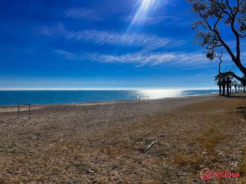 a sandy beach with a tree and the ocean at La Villa in Benicàssim