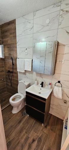 a bathroom with a toilet and a sink and a mirror at Stavrov Apartment in Negotino