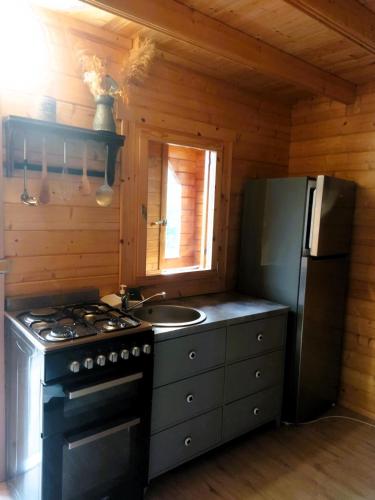 a kitchen with a stove and a sink and a refrigerator at L'ânon d'Andon in Andon