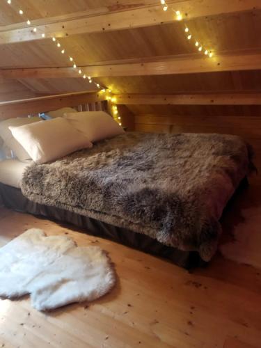 a bedroom with a bed with lights on the floor at L'ânon d'Andon in Andon