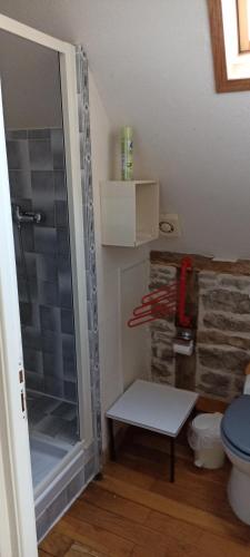a small bathroom with a shower and a toilet at Les gites et chambres d'hôtes du Mas de bouzou in Grèzes