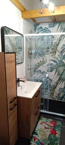 une salle de bain avec un lavabo et une douche dans l'établissement La petite tanière, à Fontan