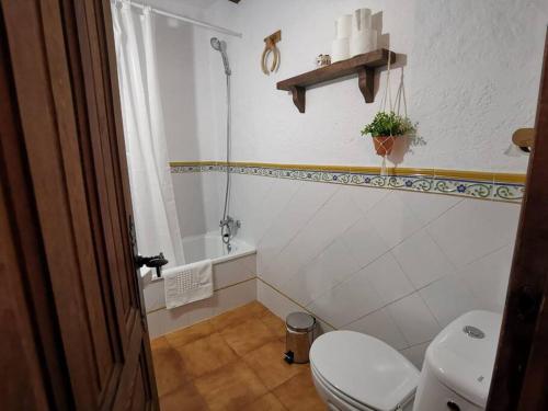 a small bathroom with a toilet and a shower at CasaBenadalid. Casa rural con piscina. in Benadalid