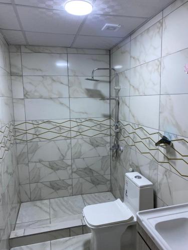 een badkamer met een douche, een toilet en een wastafel bij Wejdan Rum Luxury Camp in Wadi Rum