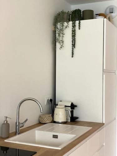 d'un comptoir de cuisine avec un évier et une plante. dans l'établissement Le Perchoir du lac ~ Vue plongeante Lac & Montagne, à Tresserves