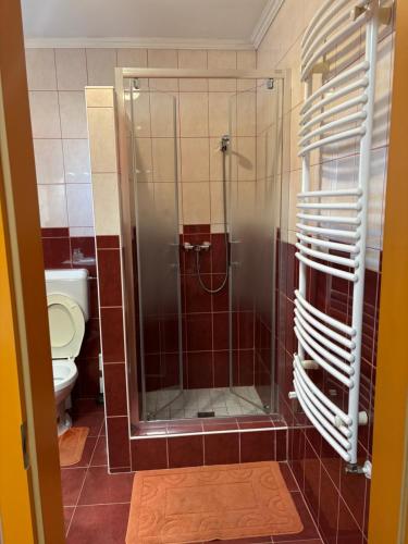 a shower stall in a bathroom with a toilet at Horvath Vendeghaz in Hegyeshalom