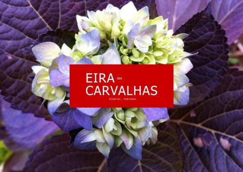 a close up of a flower with a sign on it at Eira das Carvalhas in Penafiel