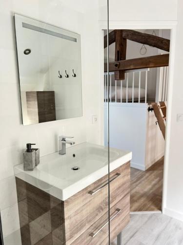 een badkamer met een wastafel en een spiegel bij Le Gite de Florian in Chablis