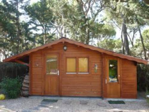 uma pequena cabana de madeira com árvores ao fundo em Villa Lujosa con piscina privada 9x5 em Valladolid