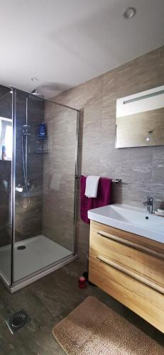 a bathroom with a shower and a sink at Apartments Mario in Drvar