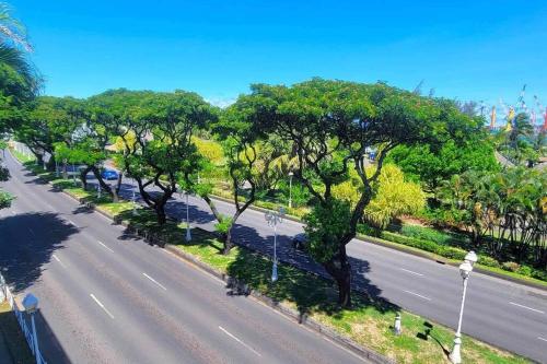 an overhead view of a street with trees and a road at Poerava Tahiti in Papeete