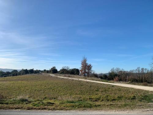an empty road in the middle of a field at Gîte Mas des ricochets in Aigremont