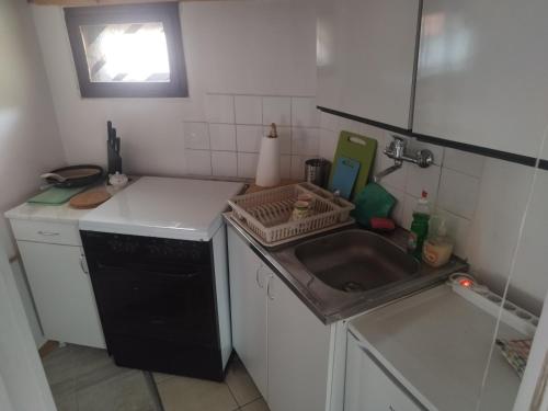 a small kitchen with a sink and a dishwasher at Garičkina kuća 2 in Pirot