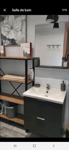 een badkamer met een wastafel en een plank bij Appartement F1 tout équipé de plein pied in Scey-en-Varais