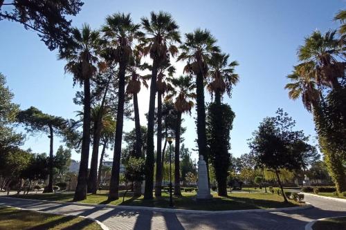 a group of palm trees on a street at Rizaki Cottage in Nafpaktos in Nafpaktos