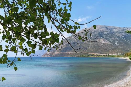 a view of a lake with a mountain in the background at Rizaki Cottage in Nafpaktos in Nafpaktos
