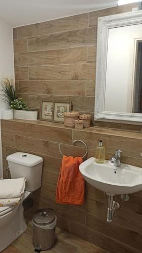 a bathroom with a sink and a toilet and a mirror at Rizaki Cottage in Nafpaktos in Nafpaktos
