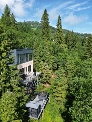 an aerial view of a house in the woods at Forest Hub in Slavske