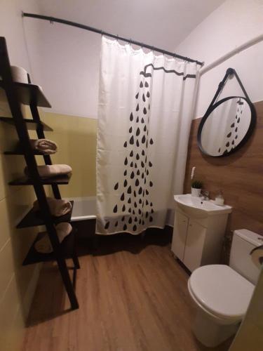 a bathroom with a shower curtain and a toilet at Apartament Przytulny Starówka Old Town Piwna in Gdańsk