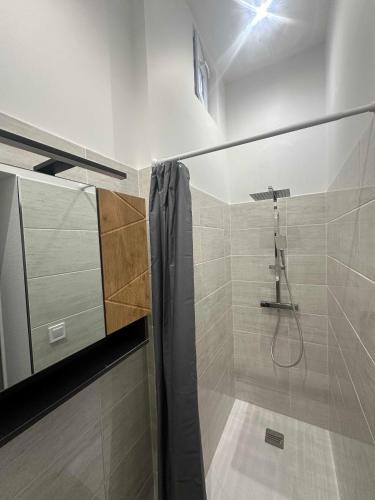 une salle de bain avec une douche avec un rideau de douche dans l'établissement Appartement Cosy et fonctionnel 4 personnes, au Havre