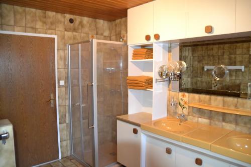 GeorgensgmündにあるFerienwohnung Veraのシャワーと洗面台付きのバスルーム