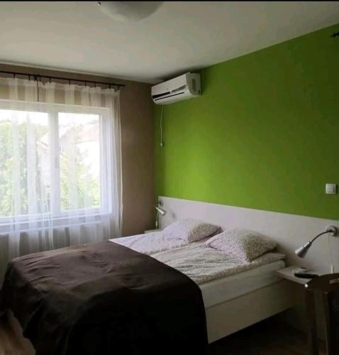 um quarto com paredes verdes e uma cama com uma janela em Luksuzni Apartmani Mitić-Mint em Sokobanja
