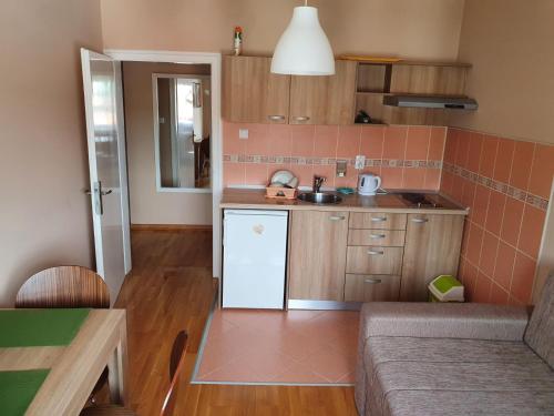 uma pequena cozinha com um lavatório e um frigorífico em Luksuzni Apartmani Mitić-Mint em Sokobanja