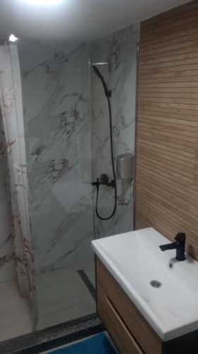 y baño con ducha y lavamanos. en Casa Sofia, en Târgu Jiu