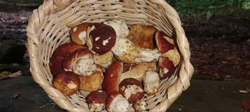 a basket filled with different types of food at Під горою in Sheshory