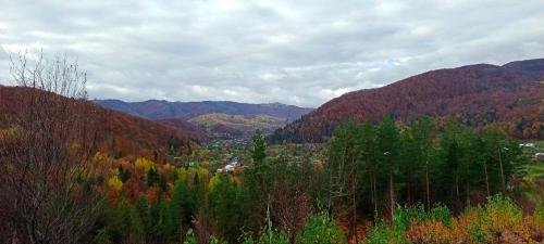 a view of a valley with trees and mountains at Під горою in Sheshory