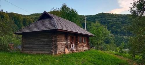 a small log cabin in a field of grass at Під горою in Sheshory