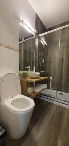 a bathroom with a white toilet and a sink at Confort Studio 1 City Center in Bucharest