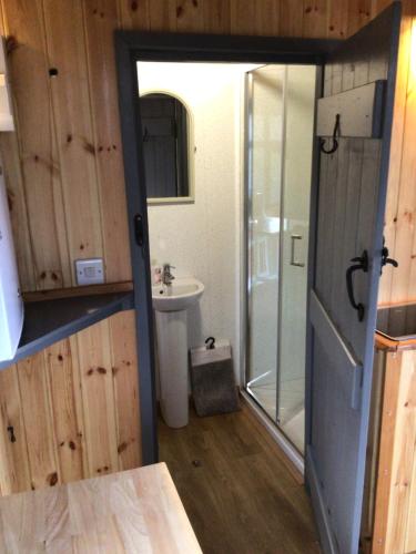 a bathroom with a shower and a toilet and a sink at Fronfetyn in Aberystwyth