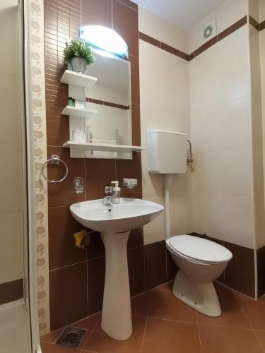a bathroom with a sink and a toilet at B&P apartman Vrnjačka Banja in Vrnjačka Banja